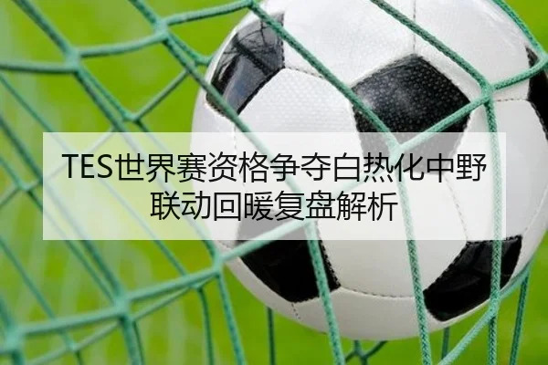 TES世界赛资格争夺白热化中野联动回暖复盘解析